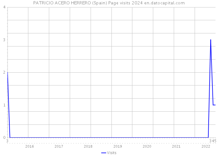 PATRICIO ACERO HERRERO (Spain) Page visits 2024 