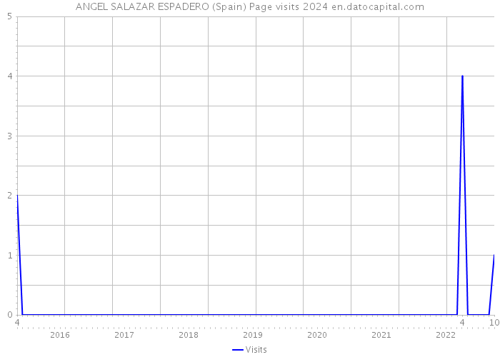ANGEL SALAZAR ESPADERO (Spain) Page visits 2024 