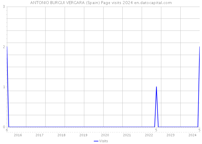ANTONIO BURGUI VERGARA (Spain) Page visits 2024 
