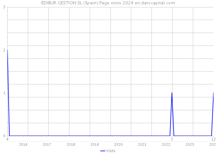 EDIBUR GESTION SL (Spain) Page visits 2024 