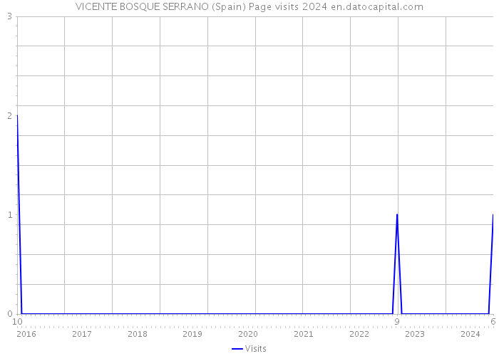 VICENTE BOSQUE SERRANO (Spain) Page visits 2024 