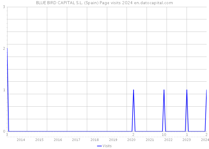 BLUE BIRD CAPITAL S.L. (Spain) Page visits 2024 