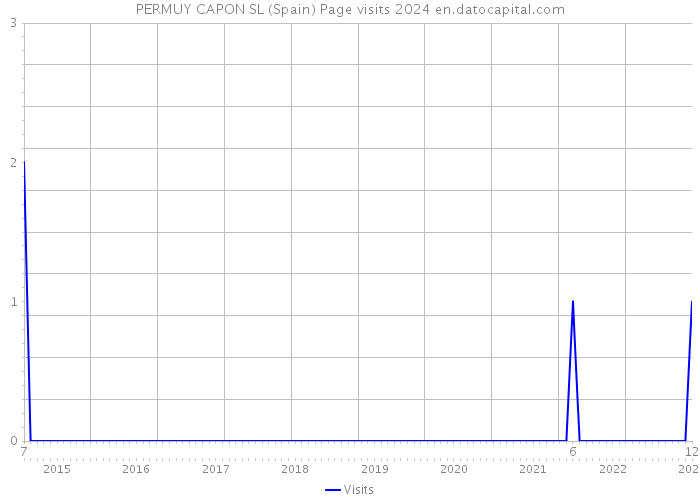 PERMUY CAPON SL (Spain) Page visits 2024 