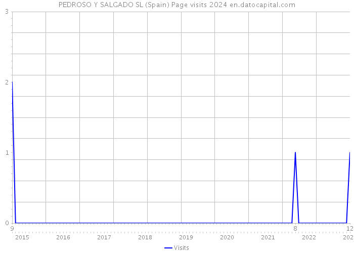 PEDROSO Y SALGADO SL (Spain) Page visits 2024 