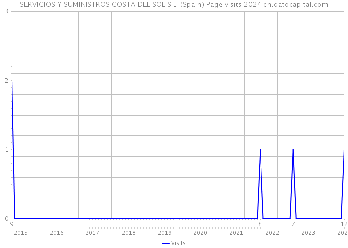 SERVICIOS Y SUMINISTROS COSTA DEL SOL S.L. (Spain) Page visits 2024 