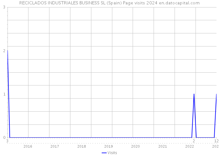 RECICLADOS INDUSTRIALES BUSINESS SL (Spain) Page visits 2024 