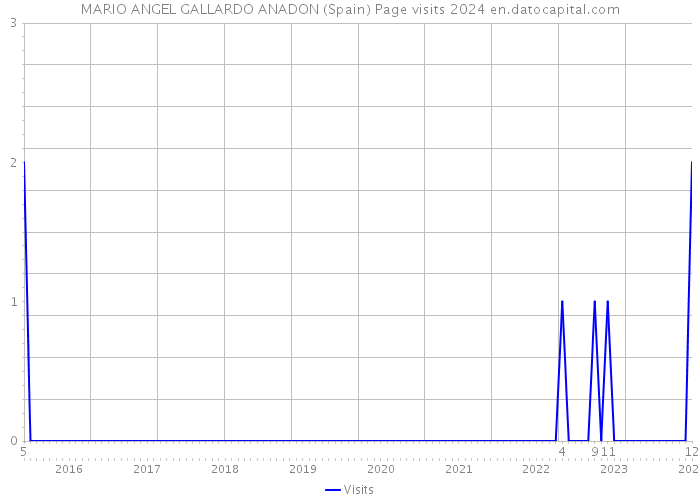 MARIO ANGEL GALLARDO ANADON (Spain) Page visits 2024 