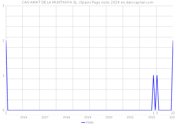 CAN AMAT DE LA MUNTANYA SL. (Spain) Page visits 2024 