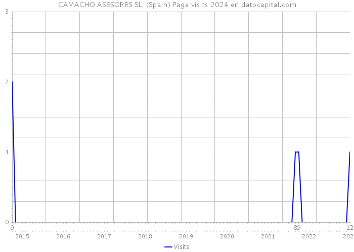 CAMACHO ASESORES SL. (Spain) Page visits 2024 