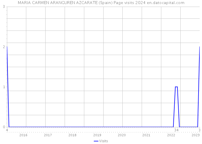 MARIA CARMEN ARANGUREN AZCARATE (Spain) Page visits 2024 