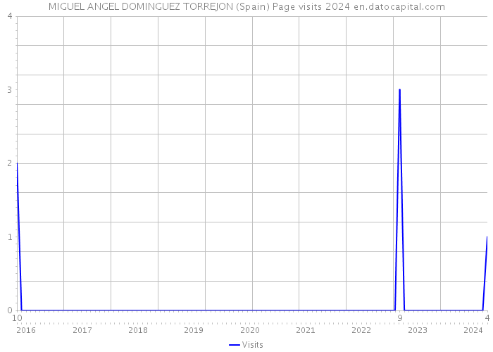 MIGUEL ANGEL DOMINGUEZ TORREJON (Spain) Page visits 2024 