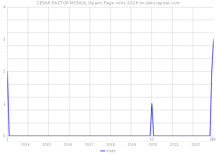 CESAR PASTOR MONGIL (Spain) Page visits 2024 