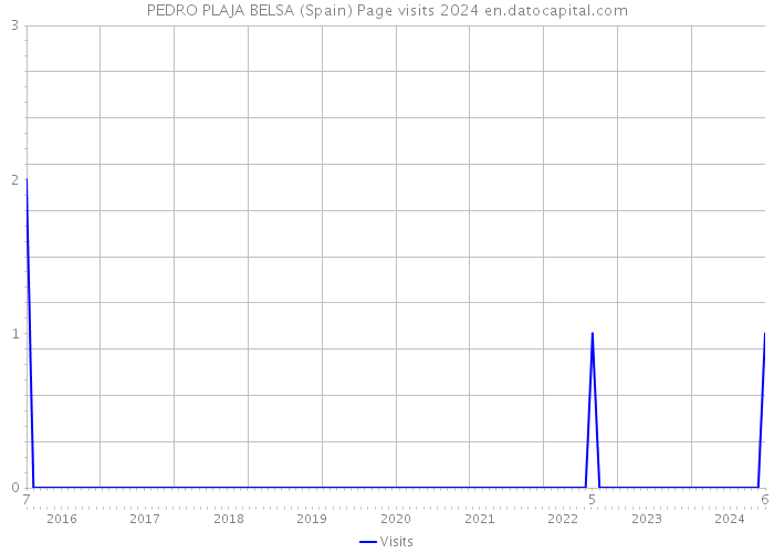 PEDRO PLAJA BELSA (Spain) Page visits 2024 