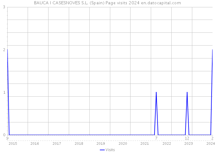 BAUCA I CASESNOVES S.L. (Spain) Page visits 2024 