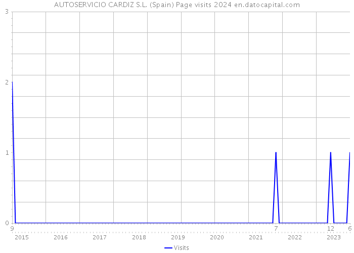 AUTOSERVICIO CARDIZ S.L. (Spain) Page visits 2024 