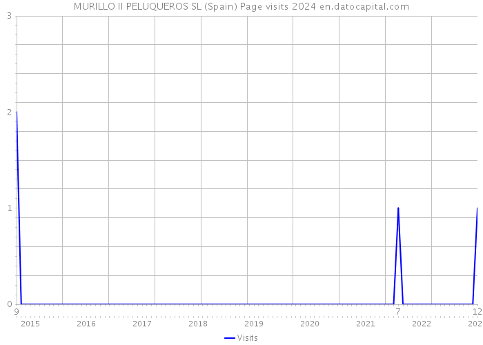 MURILLO II PELUQUEROS SL (Spain) Page visits 2024 