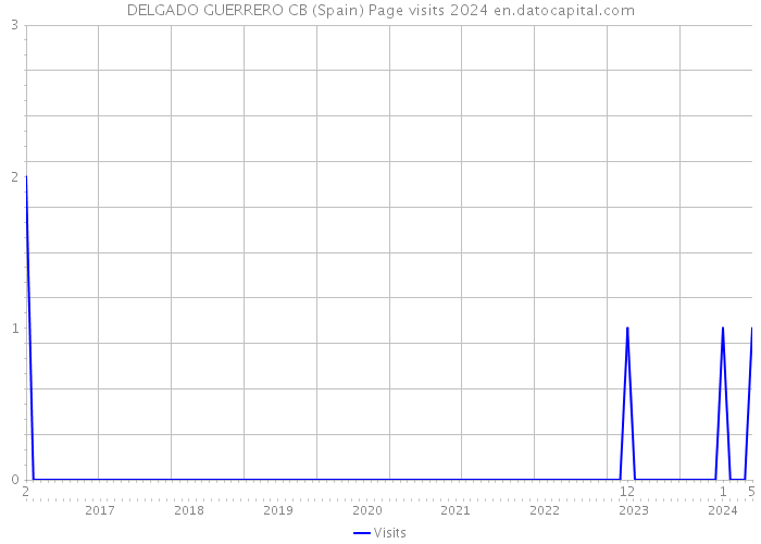 DELGADO GUERRERO CB (Spain) Page visits 2024 