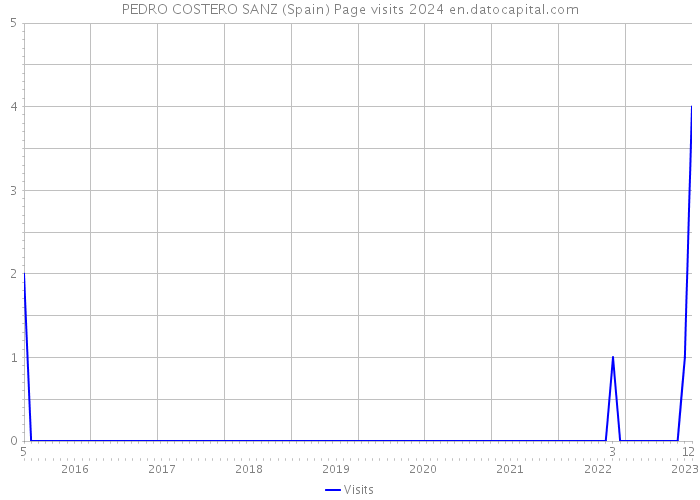 PEDRO COSTERO SANZ (Spain) Page visits 2024 