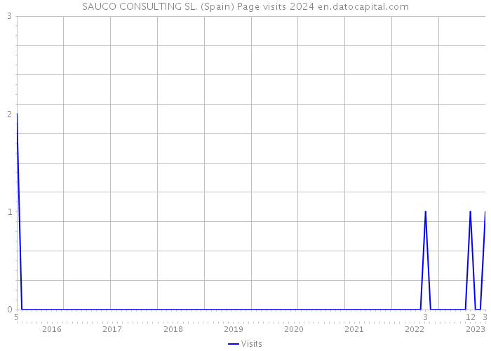 SAUCO CONSULTING SL. (Spain) Page visits 2024 