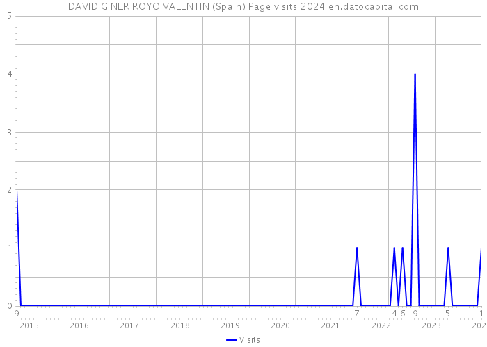 DAVID GINER ROYO VALENTIN (Spain) Page visits 2024 