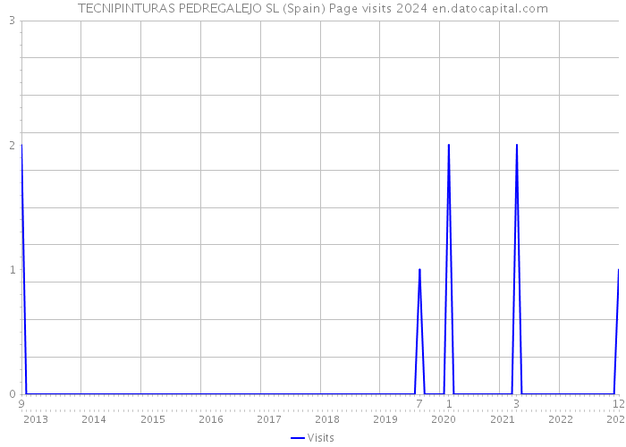 TECNIPINTURAS PEDREGALEJO SL (Spain) Page visits 2024 