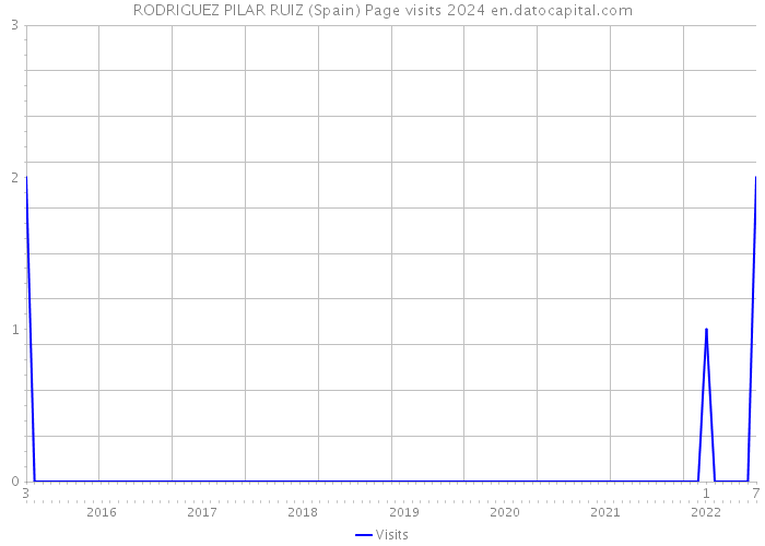 RODRIGUEZ PILAR RUIZ (Spain) Page visits 2024 