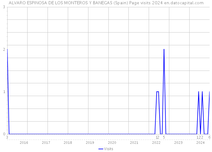 ALVARO ESPINOSA DE LOS MONTEROS Y BANEGAS (Spain) Page visits 2024 