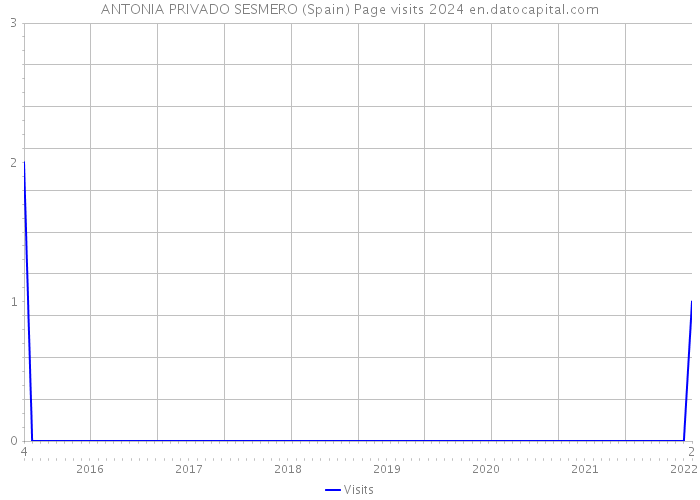 ANTONIA PRIVADO SESMERO (Spain) Page visits 2024 