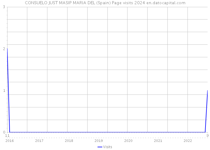 CONSUELO JUST MASIP MARIA DEL (Spain) Page visits 2024 