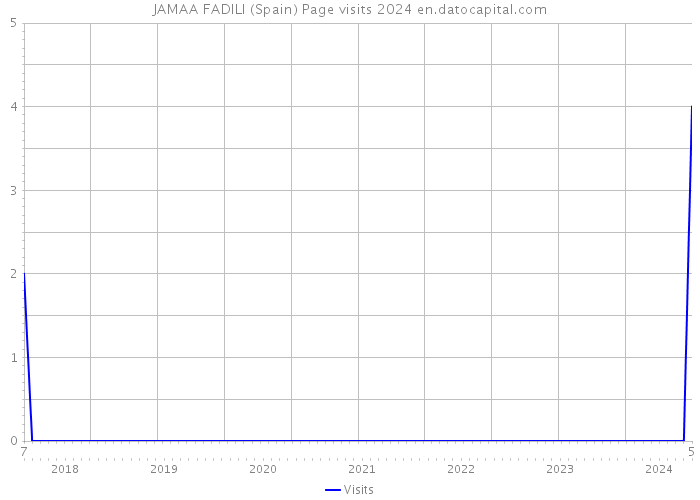 JAMAA FADILI (Spain) Page visits 2024 