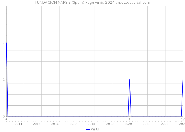 FUNDACION NAPSIS (Spain) Page visits 2024 