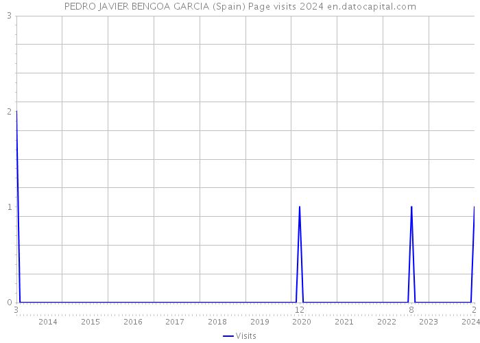 PEDRO JAVIER BENGOA GARCIA (Spain) Page visits 2024 