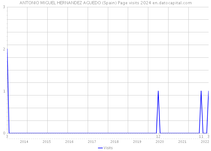 ANTONIO MIGUEL HERNANDEZ AGUEDO (Spain) Page visits 2024 