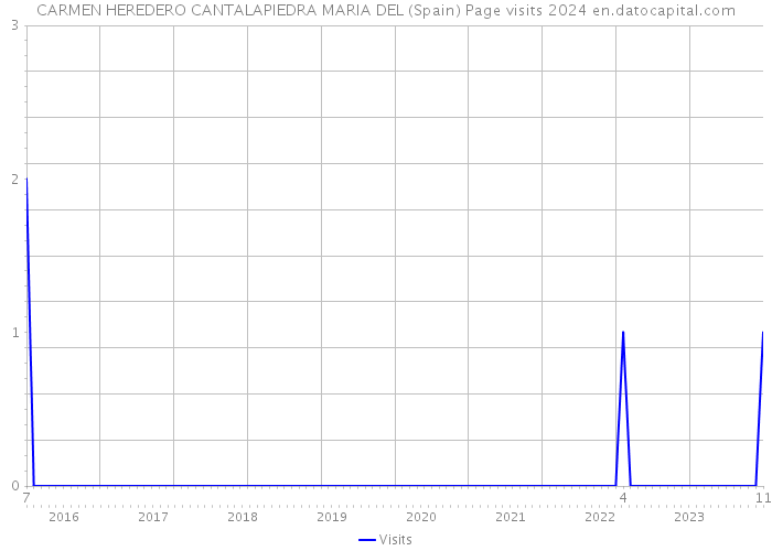 CARMEN HEREDERO CANTALAPIEDRA MARIA DEL (Spain) Page visits 2024 