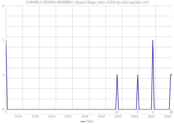 CARMELO IÑURRIA BARBERO (Spain) Page visits 2024 