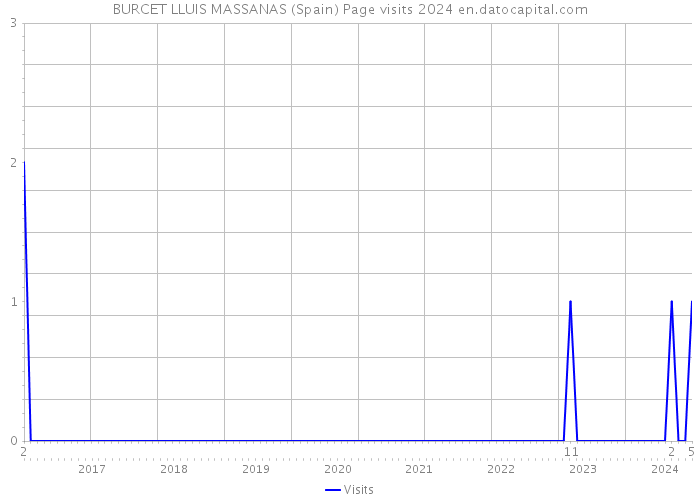 BURCET LLUIS MASSANAS (Spain) Page visits 2024 