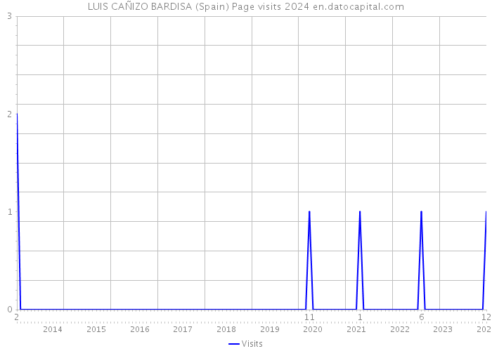 LUIS CAÑIZO BARDISA (Spain) Page visits 2024 