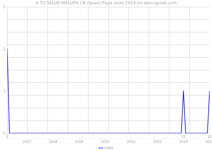 A TU SALUD MALUPA CB (Spain) Page visits 2024 