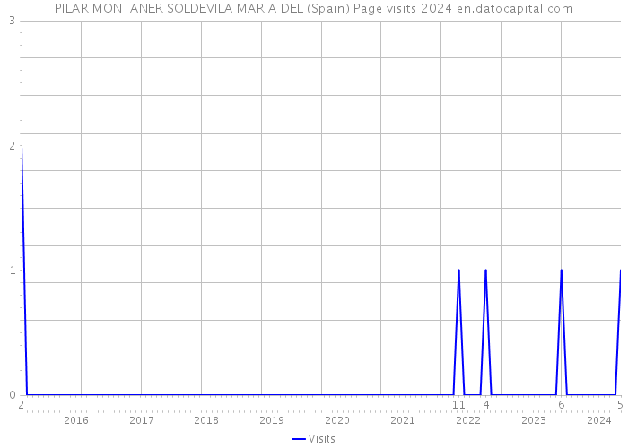 PILAR MONTANER SOLDEVILA MARIA DEL (Spain) Page visits 2024 