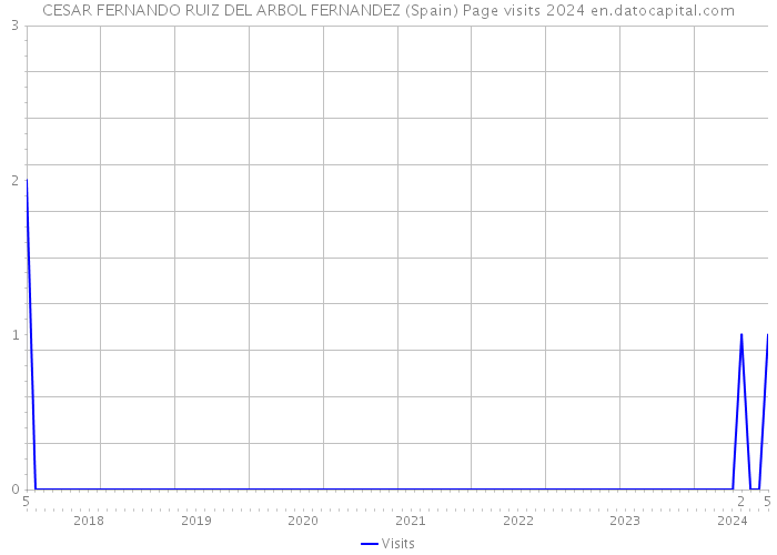 CESAR FERNANDO RUIZ DEL ARBOL FERNANDEZ (Spain) Page visits 2024 
