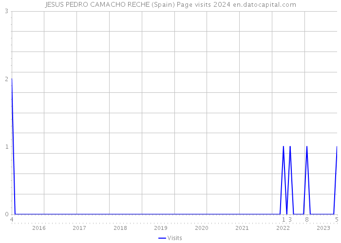 JESUS PEDRO CAMACHO RECHE (Spain) Page visits 2024 