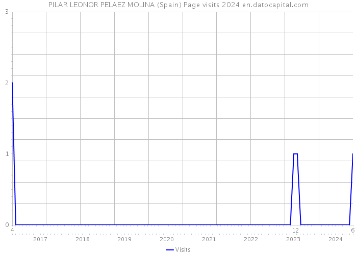 PILAR LEONOR PELAEZ MOLINA (Spain) Page visits 2024 