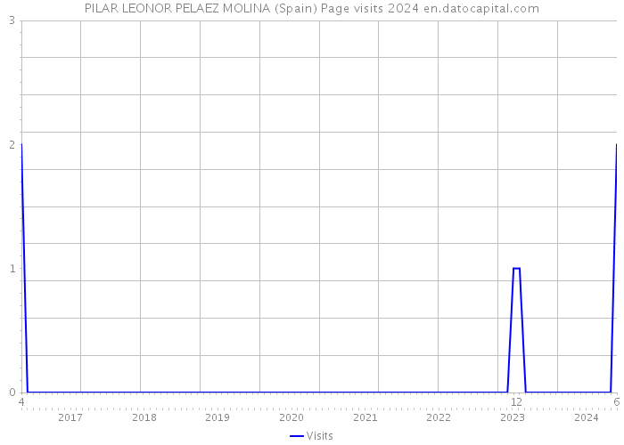 PILAR LEONOR PELAEZ MOLINA (Spain) Page visits 2024 