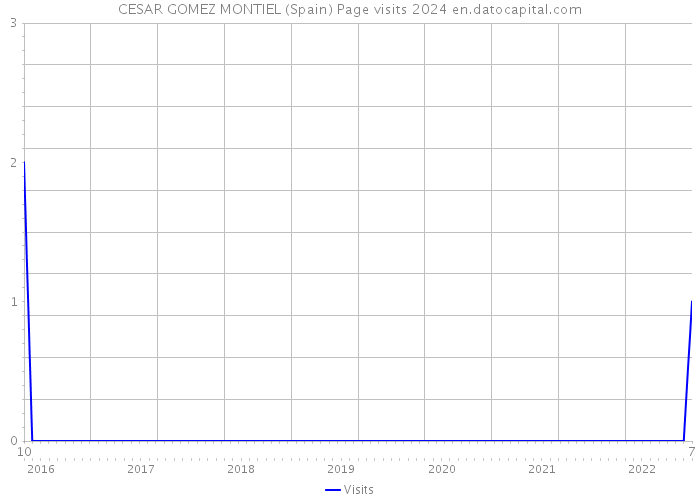 CESAR GOMEZ MONTIEL (Spain) Page visits 2024 