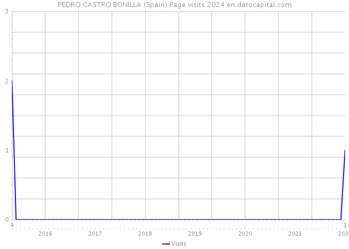 PEDRO CASTRO BONILLA (Spain) Page visits 2024 