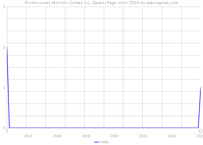 Promociones Morcillo Gomez S.L. (Spain) Page visits 2024 