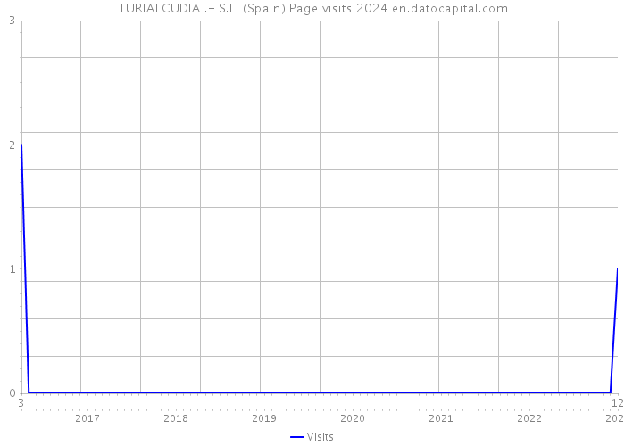 TURIALCUDIA .- S.L. (Spain) Page visits 2024 