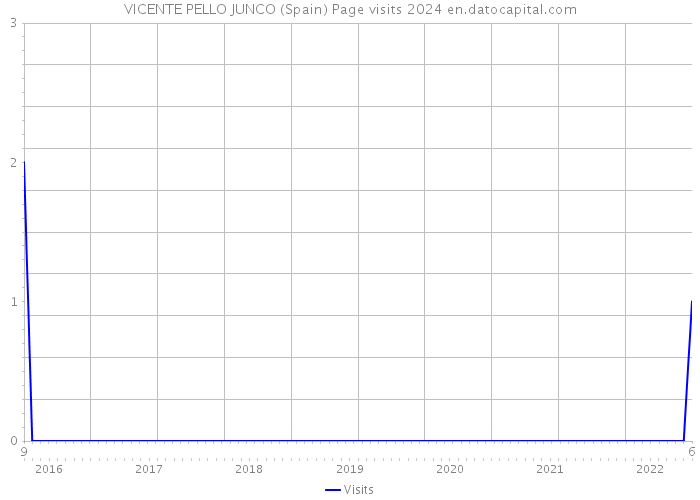 VICENTE PELLO JUNCO (Spain) Page visits 2024 