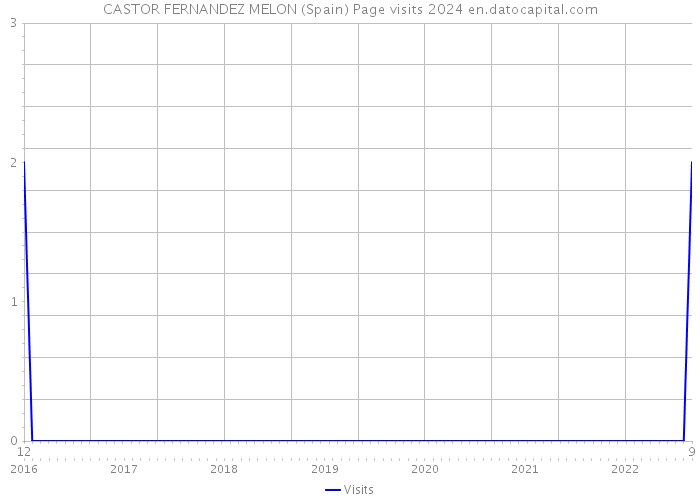 CASTOR FERNANDEZ MELON (Spain) Page visits 2024 