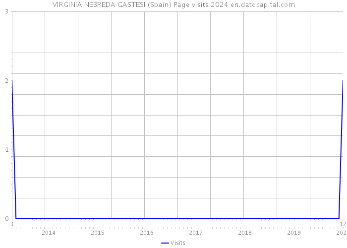 VIRGINIA NEBREDA GASTESI (Spain) Page visits 2024 